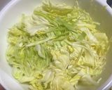 たっぷり春キャベツの巻かない豚平焼作り方1写真