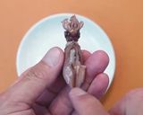 ホタルイカの簡単炊込みご飯作り方4写真