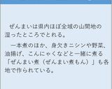 ぜんまいの一本煮作り方3写真