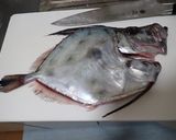 カガミダイの刺身作り方2写真