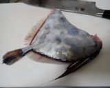カガミダイの刺身作り方3写真