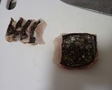 カガミダイの炙り刺し作り方5写真