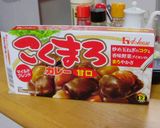 豚バラ＆豚コマのカレー☆作り方4写真