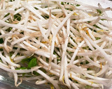 豚バラともやし豆苗の重ねレンジ蒸ししゃぶ作り方2写真