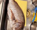 釣って来た大鯛の料理はこれ　中華風蒸し作り方1写真