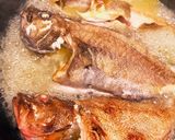 釣って来たマハタとカサゴのアクアパッツァ作り方4写真