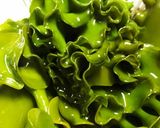 ☆簡単♪メカブ(茎わかめ)の梅酢風味作り方1写真
