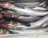小さいスケソウダラの下処理…作り方3写真