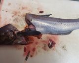 小さいスケソウダラの下処理…作り方4写真