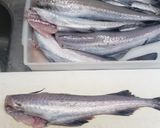 小さいスケソウダラの下処理…作り方9写真
