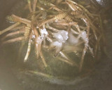 つくしと言えば。。つくしの卵とじ☆作り方8写真