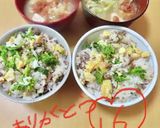 菜の花と甘辛そぼろの彩り混ぜご飯作り方9写真