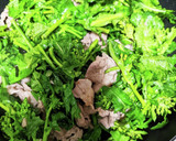 菜の花と豚肉のオイスターソース炒め作り方3写真