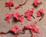 桜の塩漬けで桜色のお塩♪作り方1写真