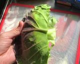 頑張らない○チキンカツホットサンド作り方4写真