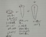 塩パン風　バターロール作り方2写真