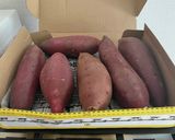 蜜が溢れる焼き芋作り方1写真
