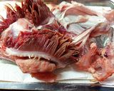 七尾の伝統食！タラの塩漬け(鱈の粕漬)作り方1写真
