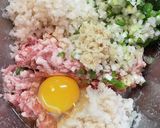 薄切り肉消費！簡単♪レンコン入り豚団子鍋作り方6写真
