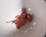 ほんのり塩味　桜ようかん作り方1写真