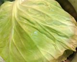 お手軽♪ 巻かないロールキャベツ作り方7写真