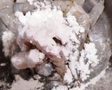 お弁当★大葉入りオトナの海老グラタン作り方3写真