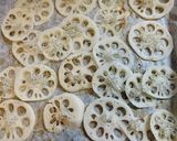 カルシウム♪蓮根のしらすチーズ焼き作り方2写真