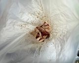 ずぼらで簡単偽青椒肉絲作り方9写真
