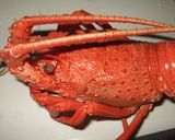 ロブスターのグラタン作り方1写真