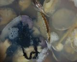 リカちゃん♡あさり三つ葉わかめのお味噌汁作り方5写真