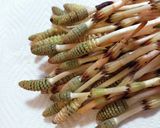 つくしと鶏肉の卵とじ作り方1写真