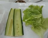 半分に折るだけ。ヘルシーサラダおりぎり作り方4写真