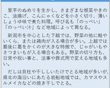 のっぺ作り方11写真