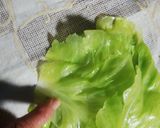 キャベツ、白菜のロール巻き！ゆりさん風作り方4写真