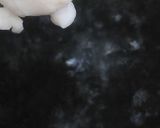 リカちゃん♡【野球】ホルモン天【広島】作り方3写真