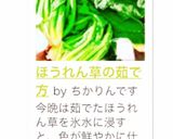 ほうれん草の茹で方作り方13写真