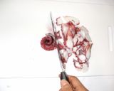 バイオリンクの新玉ねぎ蛸マリネ♪漢方薬膳作り方4写真