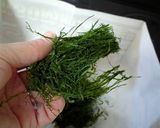 絶対はまる！青海苔のあま～いお餅作り方1写真