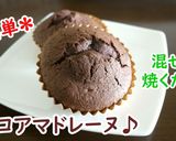 シンプルな材料deココアマドレーヌ♪作り方4写真