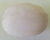 ハッセルバックれんこん作り方1写真