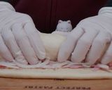 マフィン型で作る可愛いオニオンブレッド作り方13写真