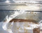 マキシマムザサラダチキン作り方4写真