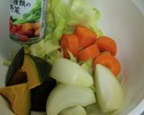 野菜だけでスープカレー作り方1写真