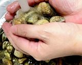 超簡単！あさりのだし醤油&みりん蒸し作り方1写真