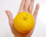 ゆず餡カップケーキ作り方1写真