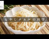 旨すぎないのが名脇役!もやしナムル作り方2写真