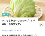 レタスの芯の抜き方＆鮮度を保つ保存法作り方9写真