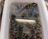 これで完璧！ アサリ砂抜き＆簡単保存法作り方9写真