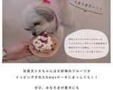 犬ご飯 /サンタさんのX'masケーキ作り方5写真