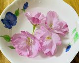 糖質オフ☆苺と桜のモーニングパフェ♪作り方1写真